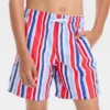 Boys' Multi Striped Swim Shorts - Cat & Jack™ Blue